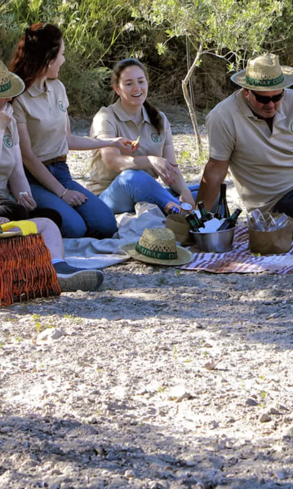 Repas en famille parmi les oliviers
